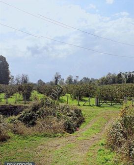 Satılık Yatırımlık Tarla-samsun Çarşamba Canlı Mahallesi'nde