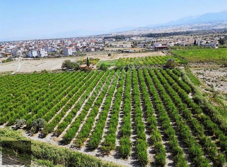 İmar Dibinde Büyük Fırsat