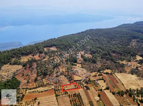 Sahile 10 Km Kuyucakta Satılık Arazi