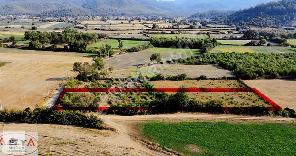Gökova Esentepede Bağ Bahçe Evi Yapımına Uygun Tarla