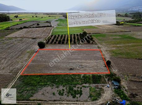 Akyaka Mahallesinde Sahile Yakin Tarla
