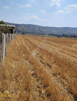 Boran Gayrimenkulden Pirilinin En Gözde Arazisi Satışta