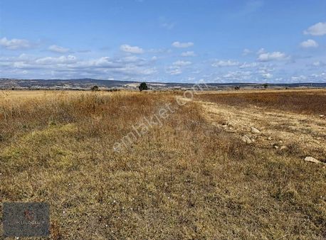 Vize Düzova Yola Cephe Satılık Arsa