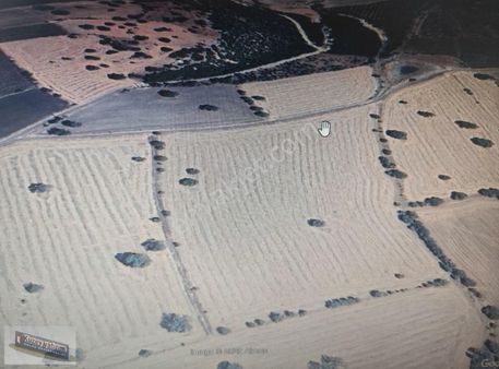 Manisa Kula Şeremet Köyünde Satılık 60 Dönüm 3 Parça Tarla