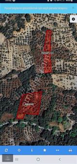 Denizova Mahallesinde Acil Uygub Tarla