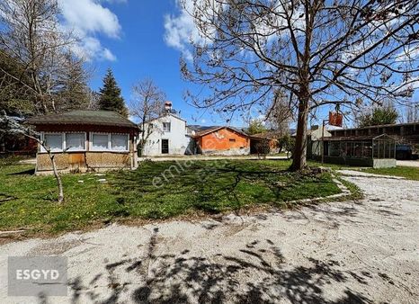 Esgyo'dan Muttalip Mahallesi'nde Satılık Çiftlik