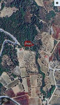 Sakarya Pamukova Pınarlı Mahallesinde Satılık Tarla