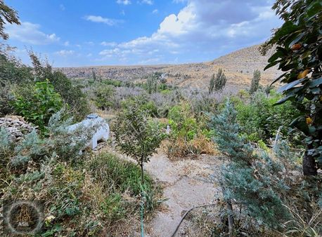 Gesi Vekse Mah.de Koramaz Vadisinde Tek Tapu Satılık Bahçe