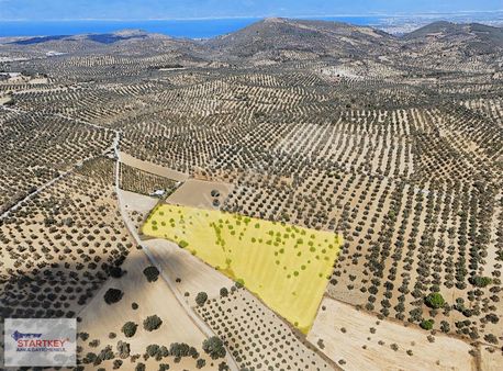 Startkey Anka'dan Pelitköy'de 23 Dönüm Satılık Tarla