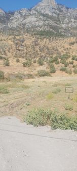 Soke Argavlıda Satılık Tarla