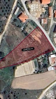 Muğla Milas Akkovanlık Köyü’nde Satılık 2.417 M² Tarla 🌿