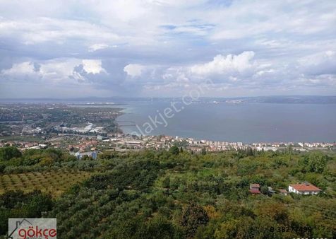 Gökçe'den Köprü Manzaralı Kartal Yuvası