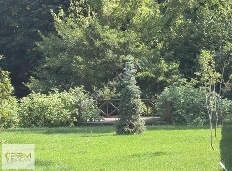 Tam Senlik Bir Yer: Çatalcada Dere Kenarı Parseller