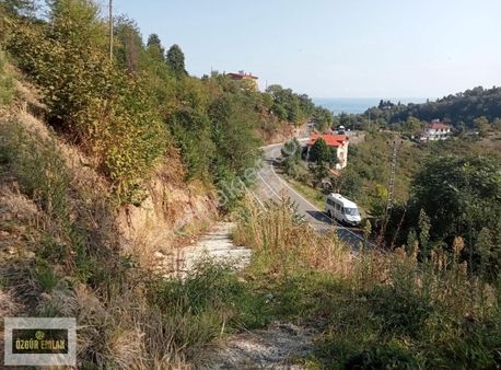 Özgür Emlak'tan 257 M2 Arazi Ana Yol Üzeri