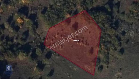 Cb/park Hüseyin Atay' Dan Giresun' Da Müstakil Tapu Fırsat..