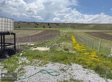 Kırgıllı Mh.de İmar Düzenlemesine Alınmış 1355 M2 Satılık Tarla!