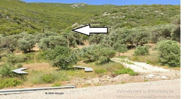 Karaburun Anberseki De Müstakil Parsel