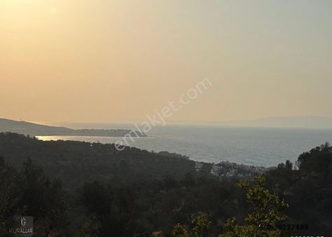 Kurallar Gayrimenkulden 30 Dönüm Resmi Yola Cephe Zeytinlik