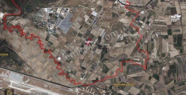 Elvan Özçelik'den Avşar'da Satılık Tarla