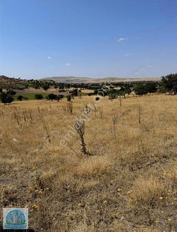 Acıgöl İnallı Köyü 8000 Metre Orbuk Mevki Süper Kelepir Arsa