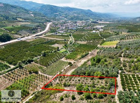 Kaleden Kaynarcada Kadastro Yola Cephe 1.525m² Köye 600mt Bahçe