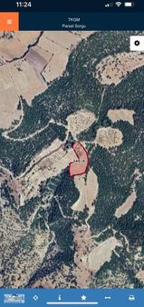 Kocabıyık Gayrimenkul'den Güney Yağcılar 250 Adet Zeytin Bahçesi