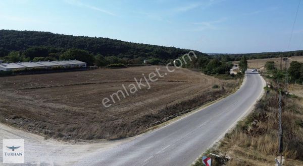 Saray Kıyıköy Asalt Cephe Satılık Tek Tapu Tarla