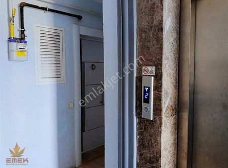 Acil Satılık Hurma 1+1 Katta