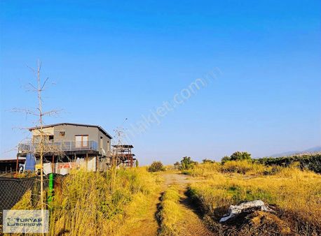 Salihli Beylikli'de 2437m2 Satılık Bağ