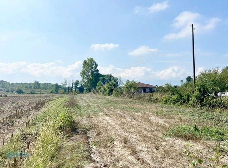 Metsa'dan Ozanlar Köyünde 1735 M² Satılık Tarla