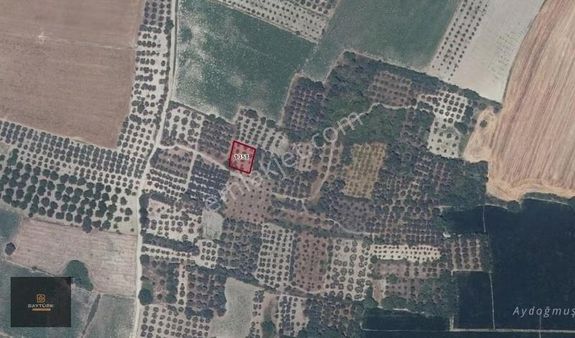 Baytürk Gayrimenkul'den Tophisar'da 540 M² Hobi Bahçesi Tarla