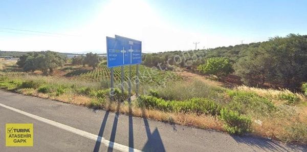 Bergama Zeytindağ'da 8855m² Zeytinlik