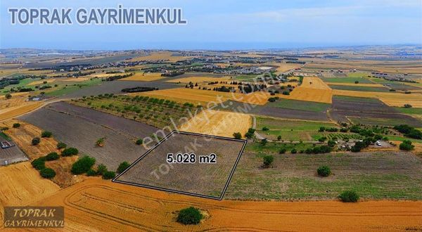 Toprak Gayrimenkul'den Çanta Planda Müminçavuş'ta Emsalsiz Tarla