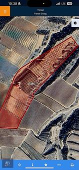 Alper Gayrimenkulden Şahyar Mah. 10.460 M2 Yenice Zeytinlik