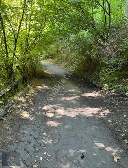 Bf Grouptan Karacasu Köyünde Satılık Arsa!