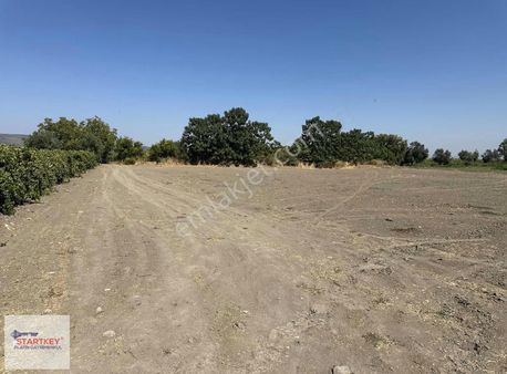 Startkey Platın'den Satılık Arazı