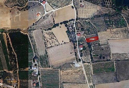 Mustafa Başyiğit Emlak'tan Alaşehir Uluderbent'te 487 M2 Tarla