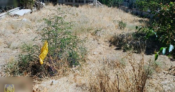 Eysu Karaca'dan Gövençlikte Muh. Konumda İki Villalık Arsa...