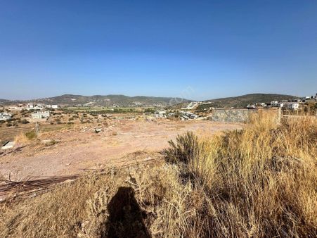 Milas Bodrum Yolu Meşelik' Te 2 Ev Projeli 785 M2 İmarlı Arsa