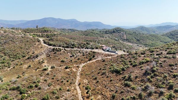 İzmir Orhanlıda Acil Satılık Tektapu 6.900 M2 Kelepir Arazi