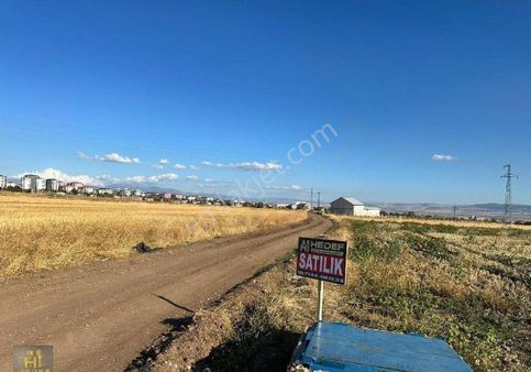 Merzifonda İmar Sınırları İçerisinde Satılık Arsa Vasıflı Tarla