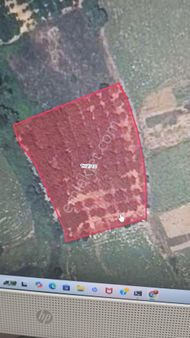 Tekirdağ Süleymanpaşa 'da Satılık Meyve Bahçesi