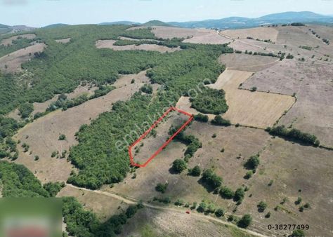 Karaaslan Mah Satılık Tarla