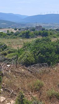 Didim'de Satılık Yatırımlık Arsa