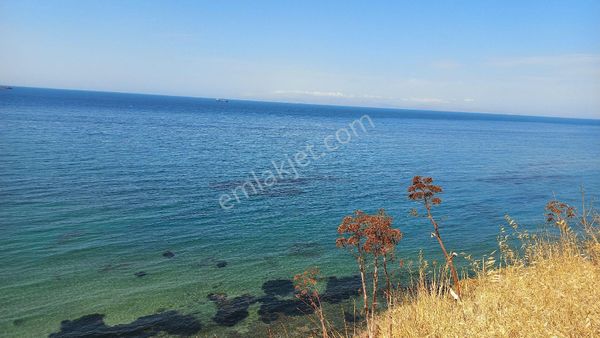 Denıze 50m Mesafede Satılık Tarla