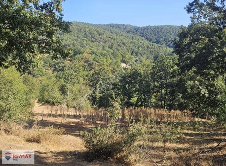 Remax Mıd Den Kepsut Dalköyde Bölünebılır 787 M2 Satılık Arsa