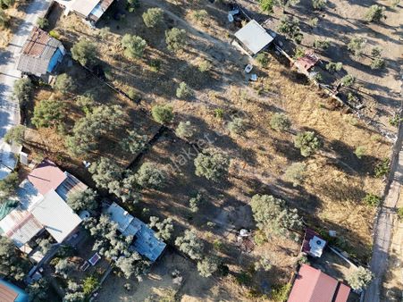 Gaziemir Pirenlik Mevkii Nde Tek Tapu Satılık Bahçe