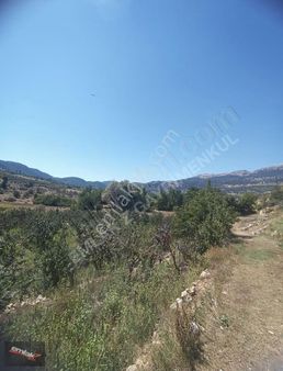 Toroslar Arslanköyde Köy İçinde Satılık Kelepir 3050 M2 Bahçe