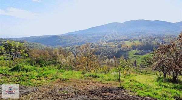 Başiskele Havuzlubahçe De Yatırımlık 7493m2 Satılık Arsa