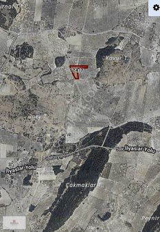 Manisa Kırkağaç İlyaslar'da Satılık 6.600 M2 Fırsat Zeytinlik